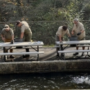 Crew working on fish