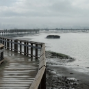 Wet boardwalk extending into distance with gray clouds and gray water
