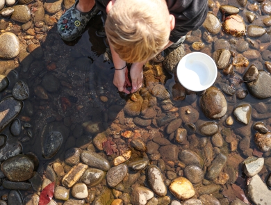 Person kneeling over a shallow pool, their hands in the water