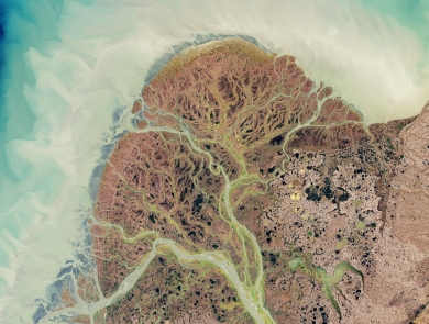A satellite view of a braided river delta.