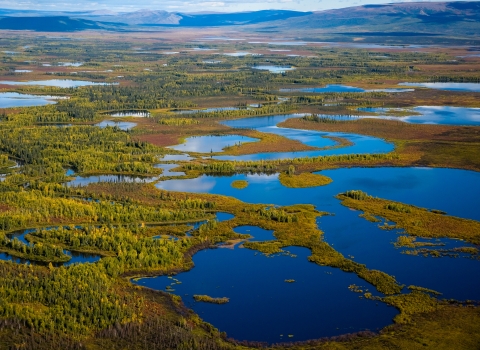 aerial view of sprawling wetlands with hills in the background