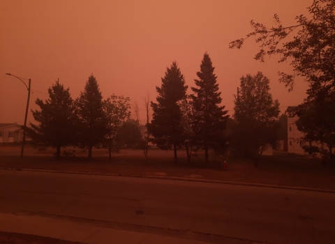 A very redish pink photo of a street with trees. The sky is so dark with smoke it looks like thick pink and red.