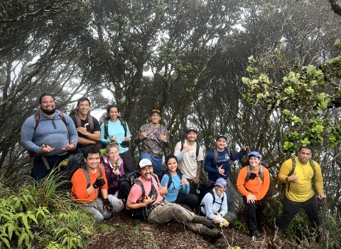 Staff from Oʻahu Army Natural Resources Program and Pacific Islands Fish and Wildlife Office stand amongst ʻohiʻa lehua trees