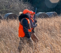 Two ladies dressed in hunter orange walking across field in fall with shotgun