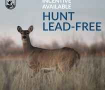 An image of white-tailed deer doe standing in a grassy field looking towards the camera. Text reads, "Incentive Available, Hunt Lead-free." The shield for the U.S. Fish and Wildlife Service sits in the top left corner.