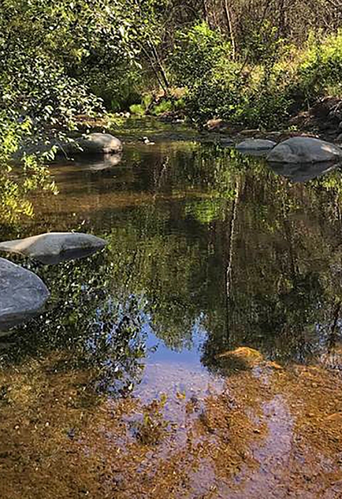A river with rocks