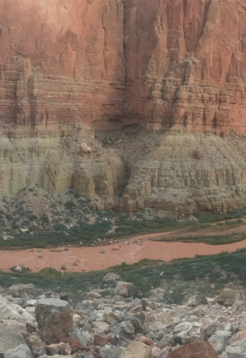 Lower Little Colorado River