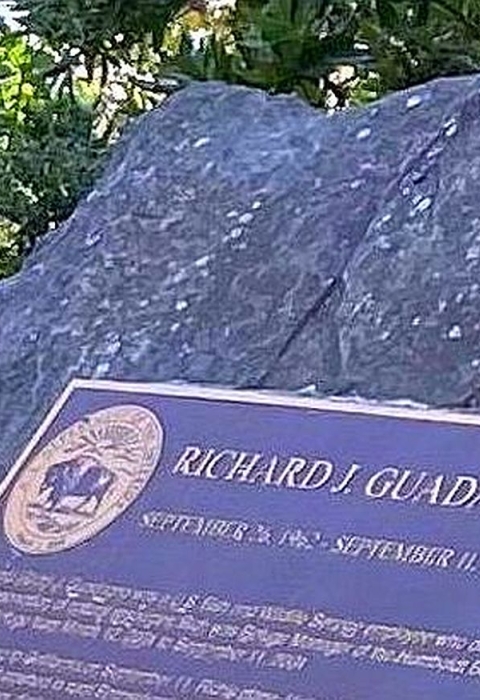 A bronze plaque on a large rock amid green vegetation