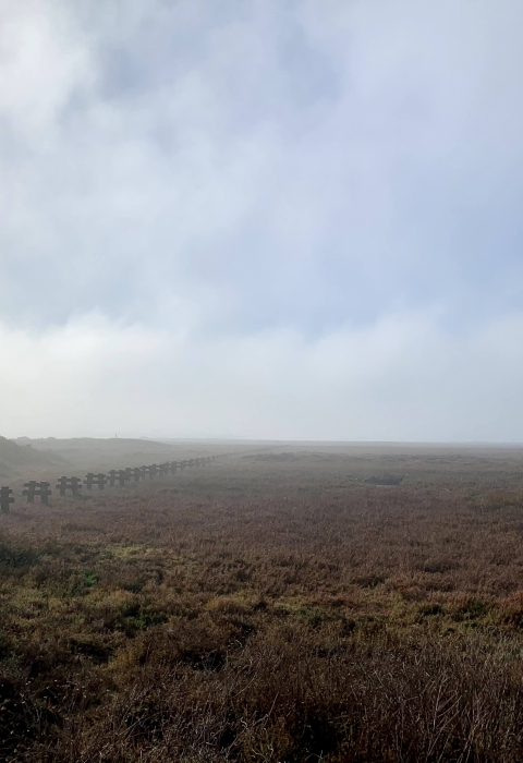 Foggy morning during sunrise. The blue sky breaks through gradually as the image moves to the right. Marsh plants are a brown, red color. 