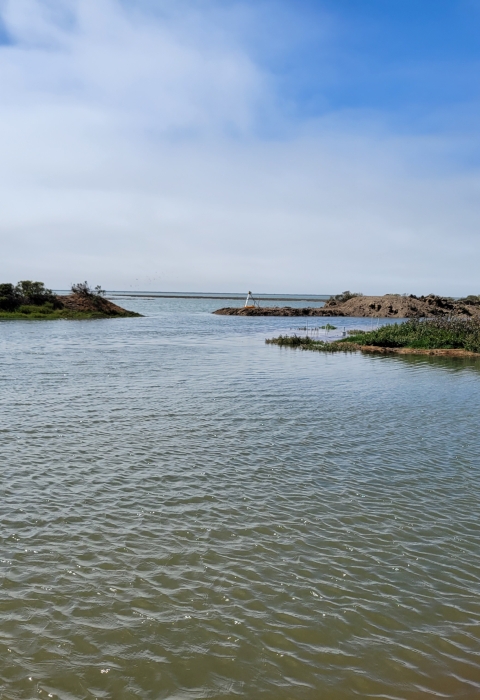 Blue skies with clouds, water with island and peninsulas.