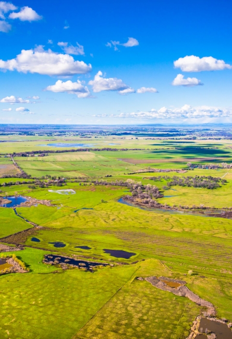 green farmland and open space meet a blue skyline
