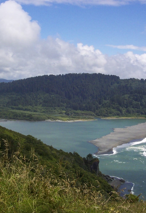 an areal shot of an estuary