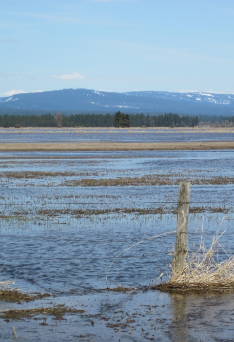 Looking across a lake that is spotted with vegetation toward the mountains, an old fence runs across the foreground.