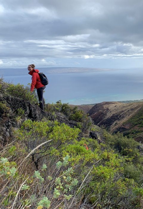 A person in a red jacket standing at the top of a mountain overlooking a gulch and the ocean.