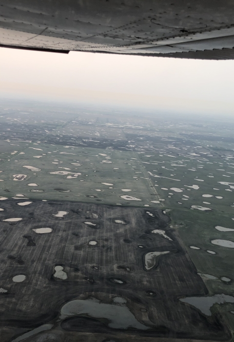 Aerial view of wetlands
