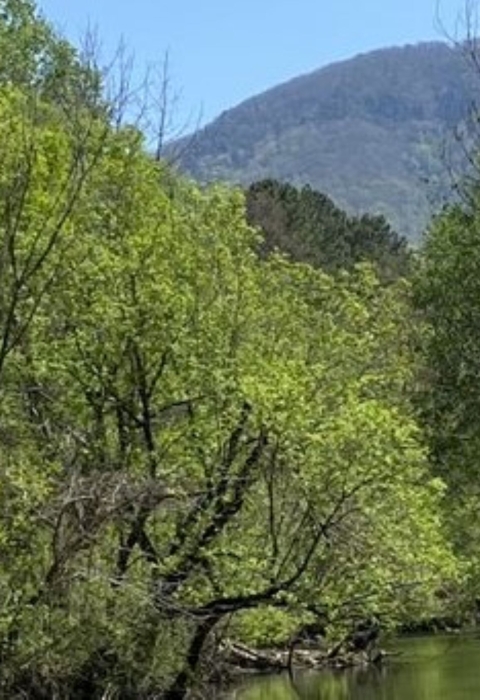 A stream through the mountains.