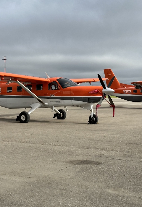 two airplanes on a runway