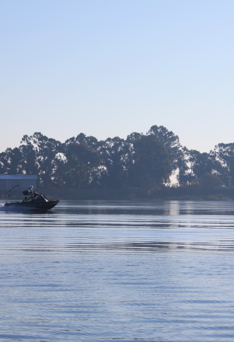 A boat is pictured in the middle of a tree lined river