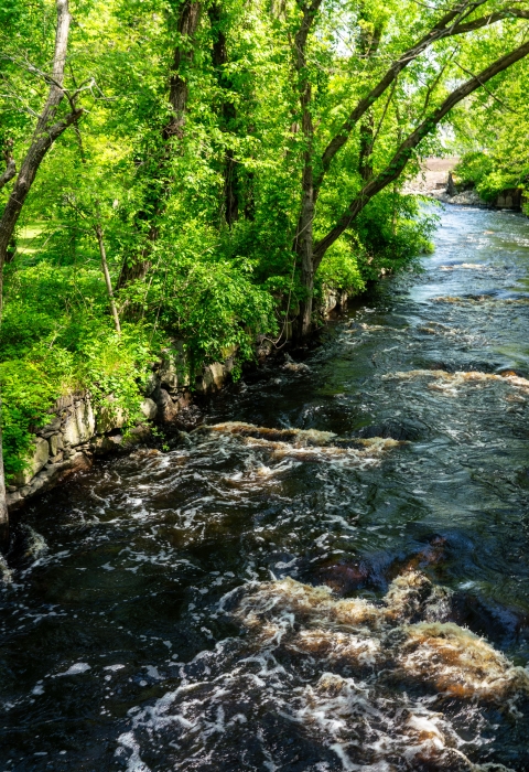 a dark river, punctuated by stones, flows between bright green, tree-lined banks