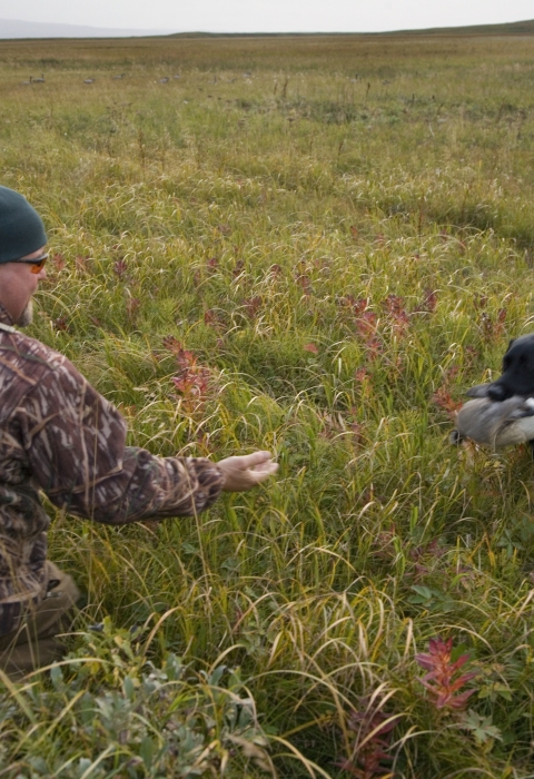 A black dog brings a bird to a hunter wearing camoflauge.