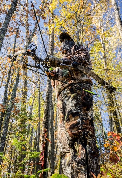 Bow hunter standing in the woods.