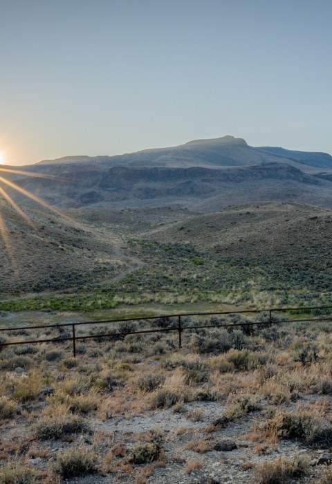A sagebrush landscape at sunrise. A fence runs through the foreground and there are mountains stretching into the distance.