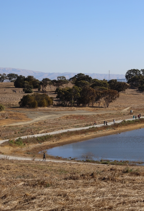 Long view of walkers and cyclists using the Flyway Trail at Don Edwards San Francisco Bay National Wildlife Refuge.