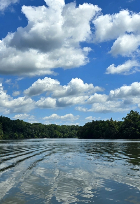 Calm river with trees along both shorelines and a partly cloudy blue skie.