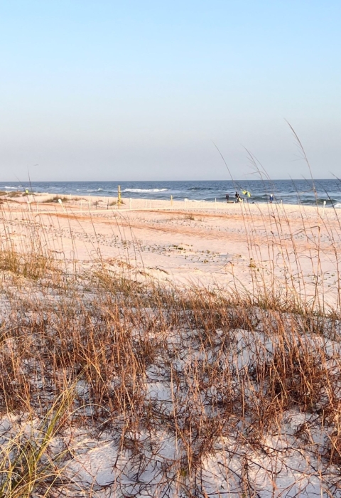 A white sand beach alongside the Gulf