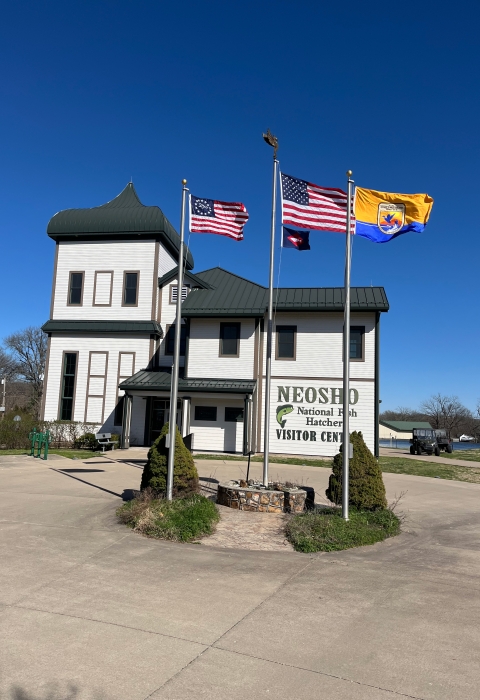 2 U.S. flags, USFWS flag, fish pennant on flagpoles in front of fancy, old-timey building with sign “Neosho National Fish Hatchery Visitor Center”
