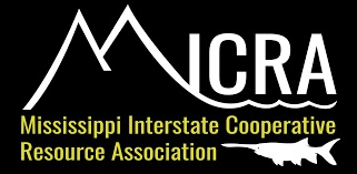 An upper case "M" turns into wave underneath the letters I, C, R, and A of MICRA with a paddlefish below.