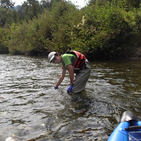 A young man in waders and ballcap bends over a stream.