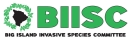 Green letters on a white background that read B.I.I.S.C.