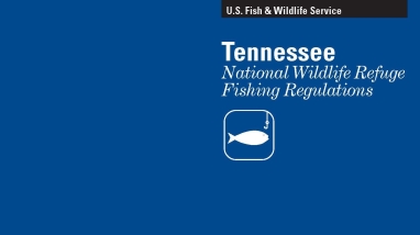 An image of the cover for the fishing brochure.