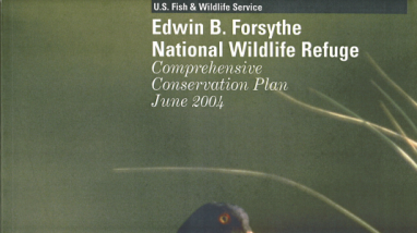 Edwin B. Forsythe NWR Comprehensive Conservation Plan