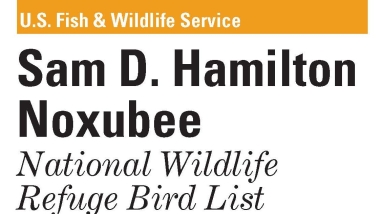 An image of the cover for the bird brochure.