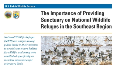 An Image of the Importance of Sanctuary for Waterfowl in the Southeast fact sheet.