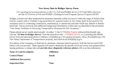 New Jersey Bats in Bridges Survey Form thumbnail
