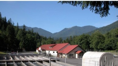 An image of Quilcene National Fish Hatchery in Quilcene, Washington