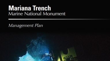 Submersible with lights on in the depth of Mariana Trench