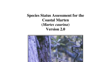 Species Status Assessment for the Coastal Marten (Martes caurina) Version 2.0