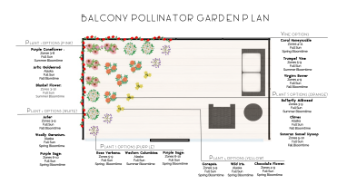Balcony Pollinator Garden Design Plan
