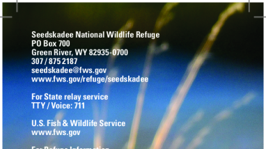 SeedskadeeGeneralBrochure-2021.pdf