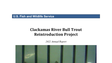 Clackamas River Bull Trout Reintroduction Project 2022 Annual Report