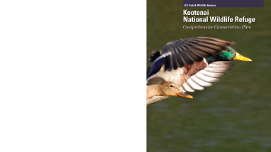 Kootenai NWR Comprehensive Conservation Plan (CCP)