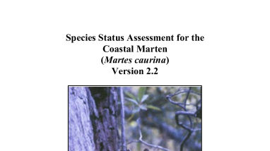 Species Status Assessment for the Coastal Marten (Martes caurina) Version 2.2