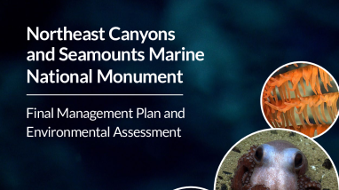 Volume One: Northeast Canyons and Seamounts Marine National Monument Final Management Plan