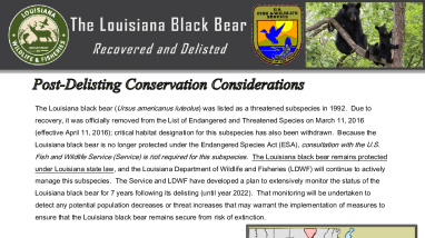 Louisiana Black Bear Post Delisting Conservation
