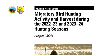 Migratory Bird Hunting Activity and Harvest during the 2022–23 and 2023–24 Hunting Seasons