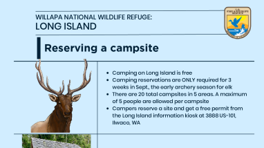 Reserving a campsite on Long Island